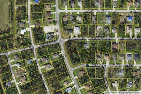 KNOTTY PINE AVENUE