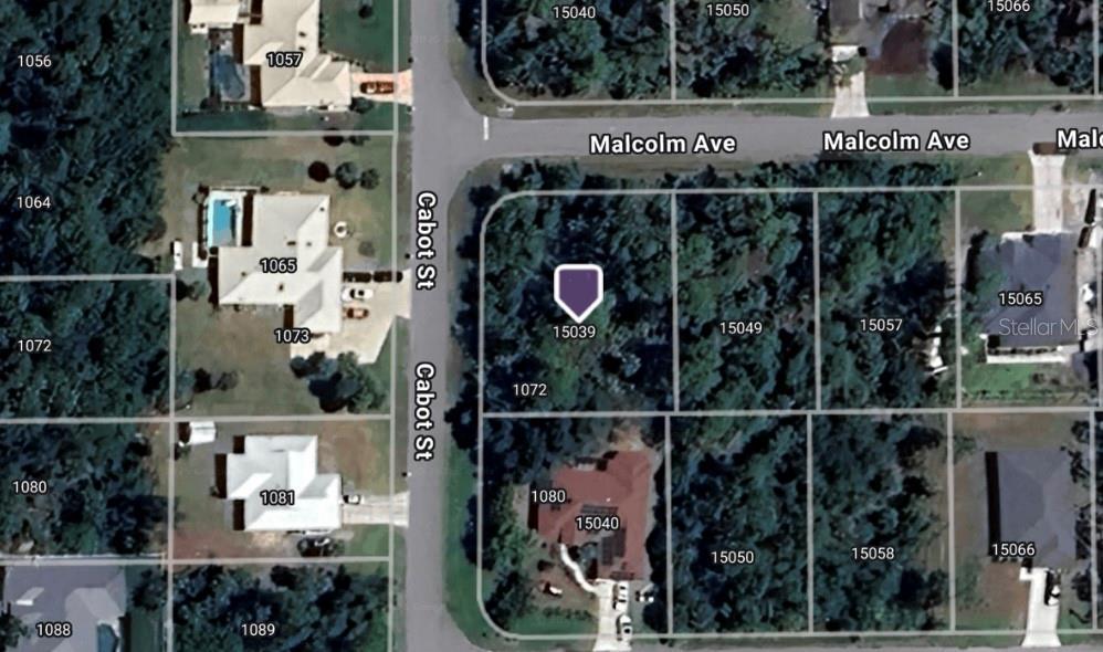 Image 1 Image 1