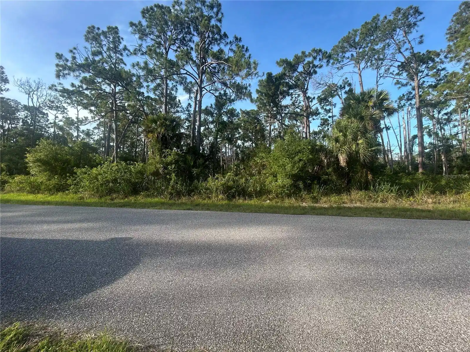 Image 1 Image 1