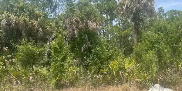Image 4 Image 4