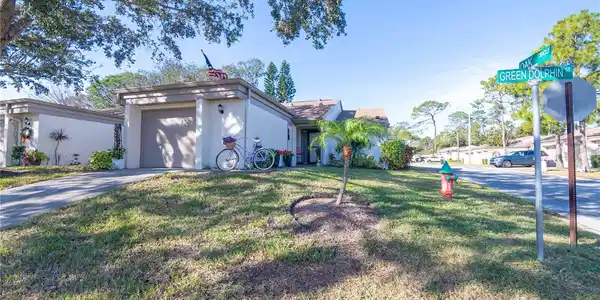 3207 GREEN DOLPHIN STREET