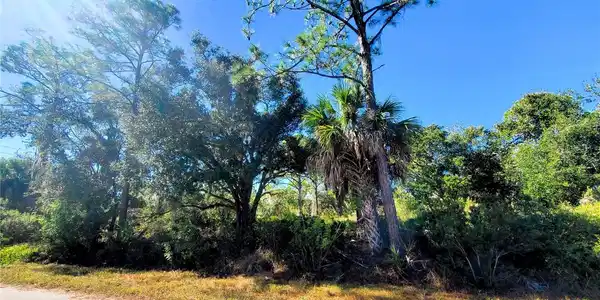 Image 3 Image 3