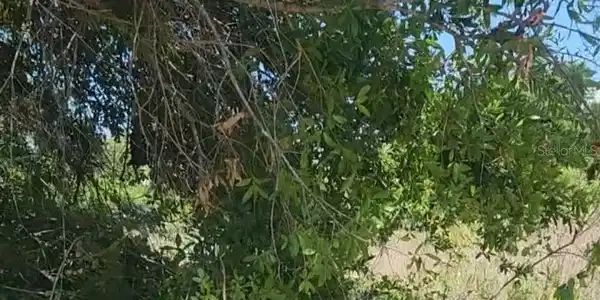 Image 2 Image 2