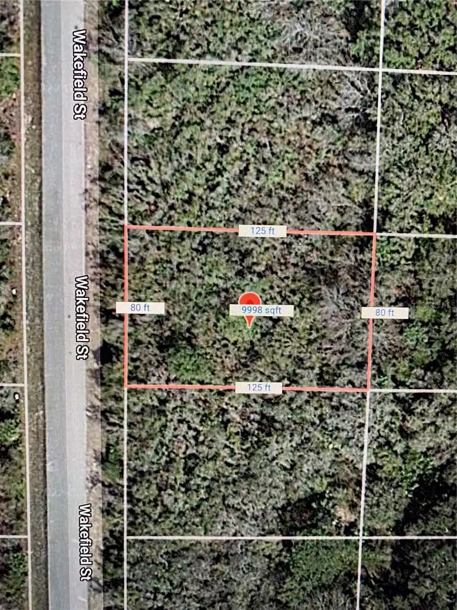 Image 1 Image 1