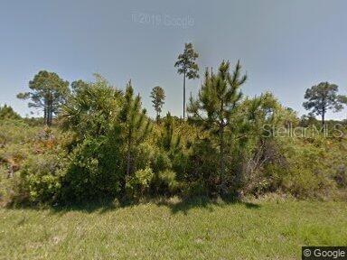 Image 1 Image 1