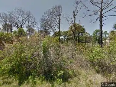 Image 1 Image 1