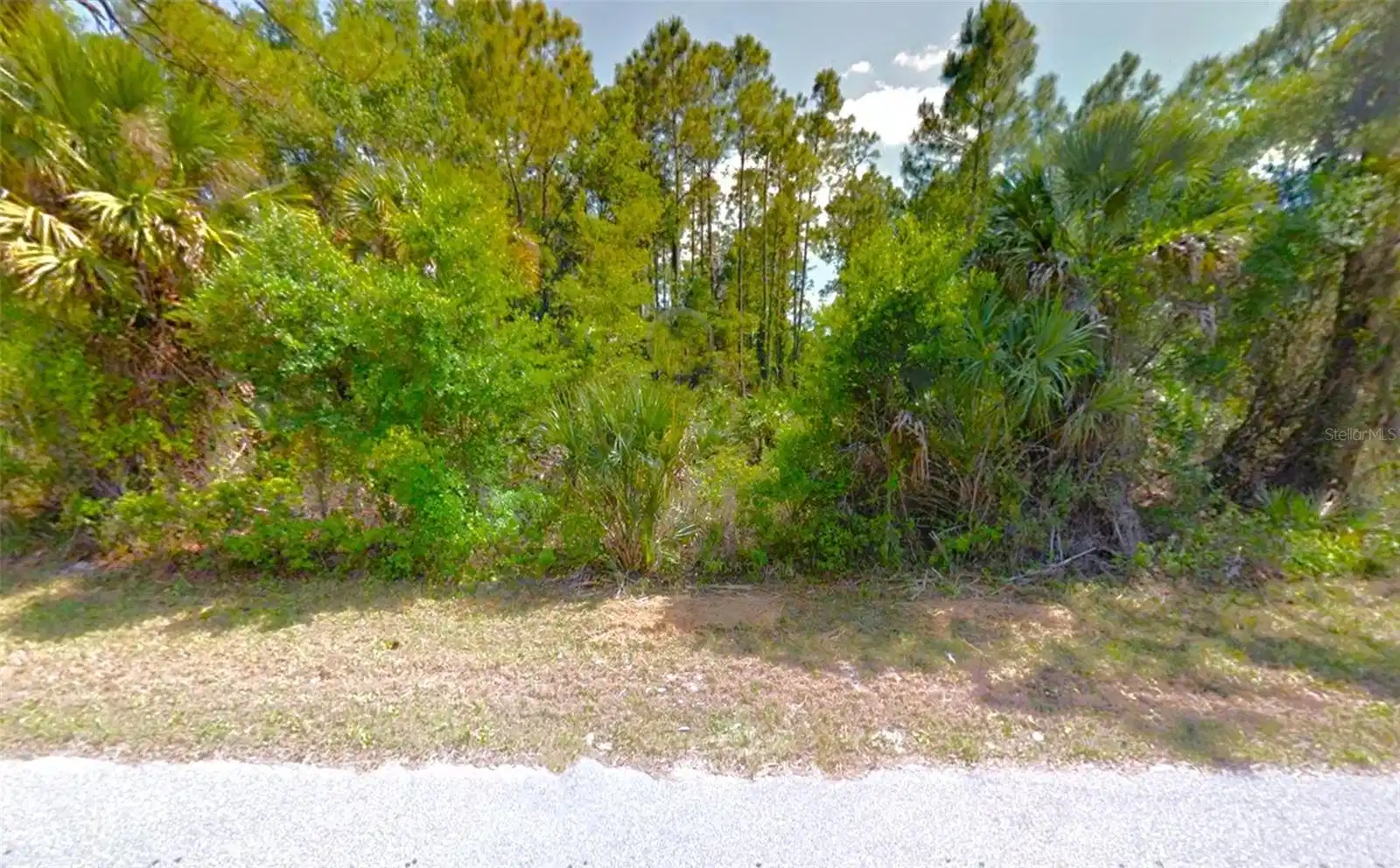 Image 1 Image 1