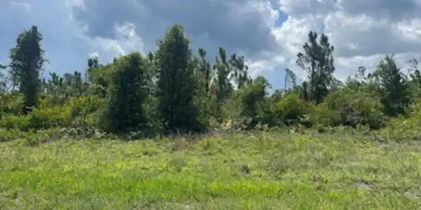 Image 3 Image 3