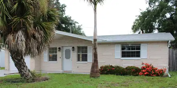 4619 IRENE LOOP