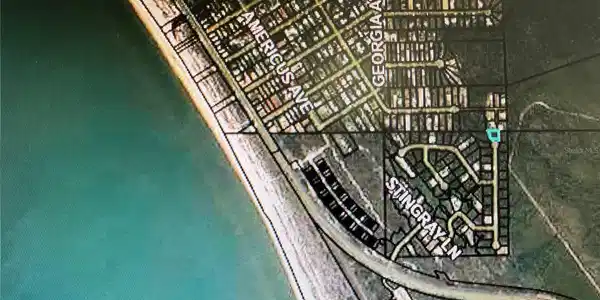 SEA TURTLE DRIVE