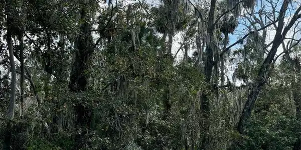 Image 3 Image 3