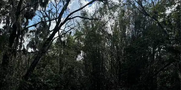 Image 4 Image 4