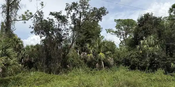 Image 3 Image 3