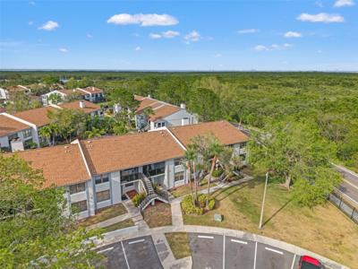 1930 LAUGHING GULL LANE