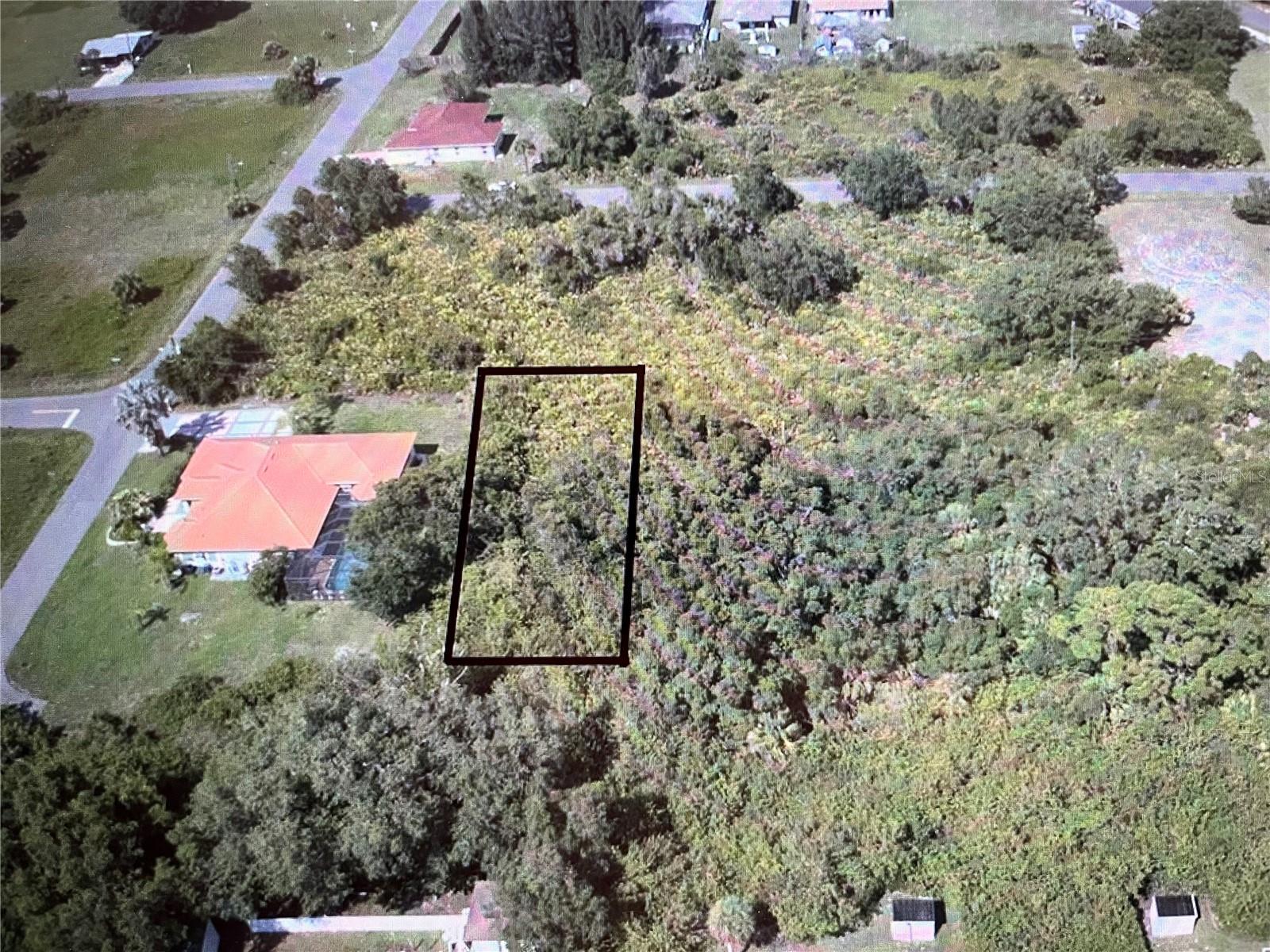 Image 1 Image 1