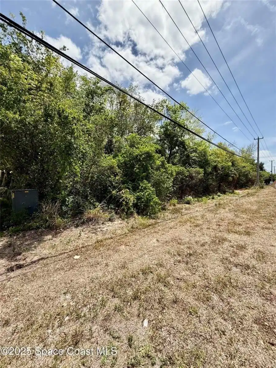 Image 1 Image 1