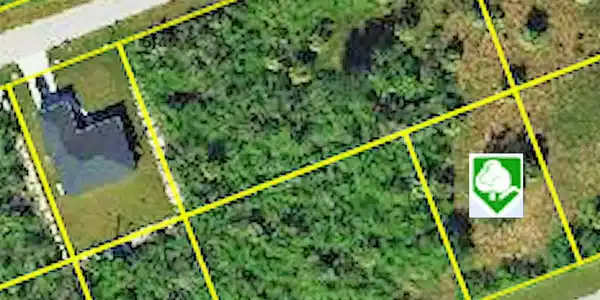 Image 4 Image 4