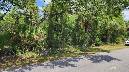 Lot 24 LANAI AVENUE