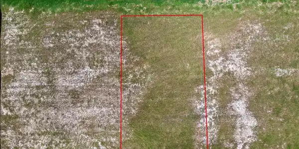 Image 3 Image 3