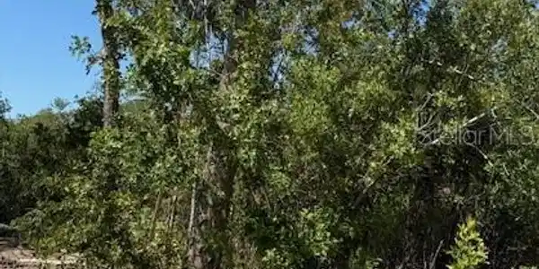 Image 4 Image 4