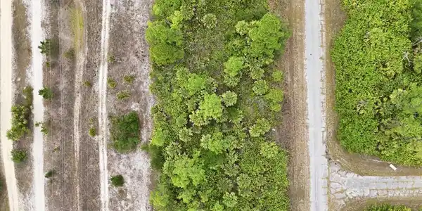Image 3 Image 3