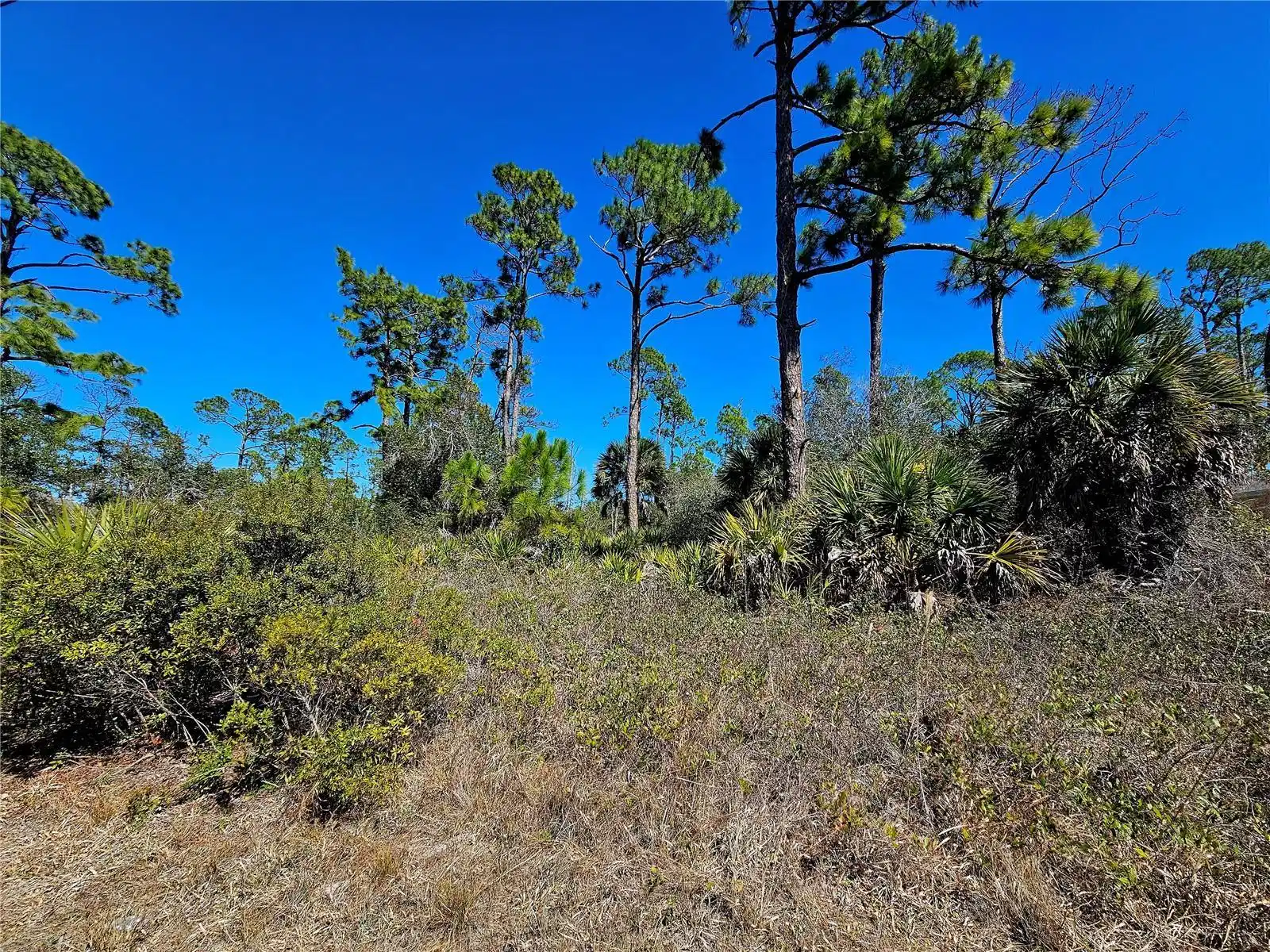 Image 1 Image 1