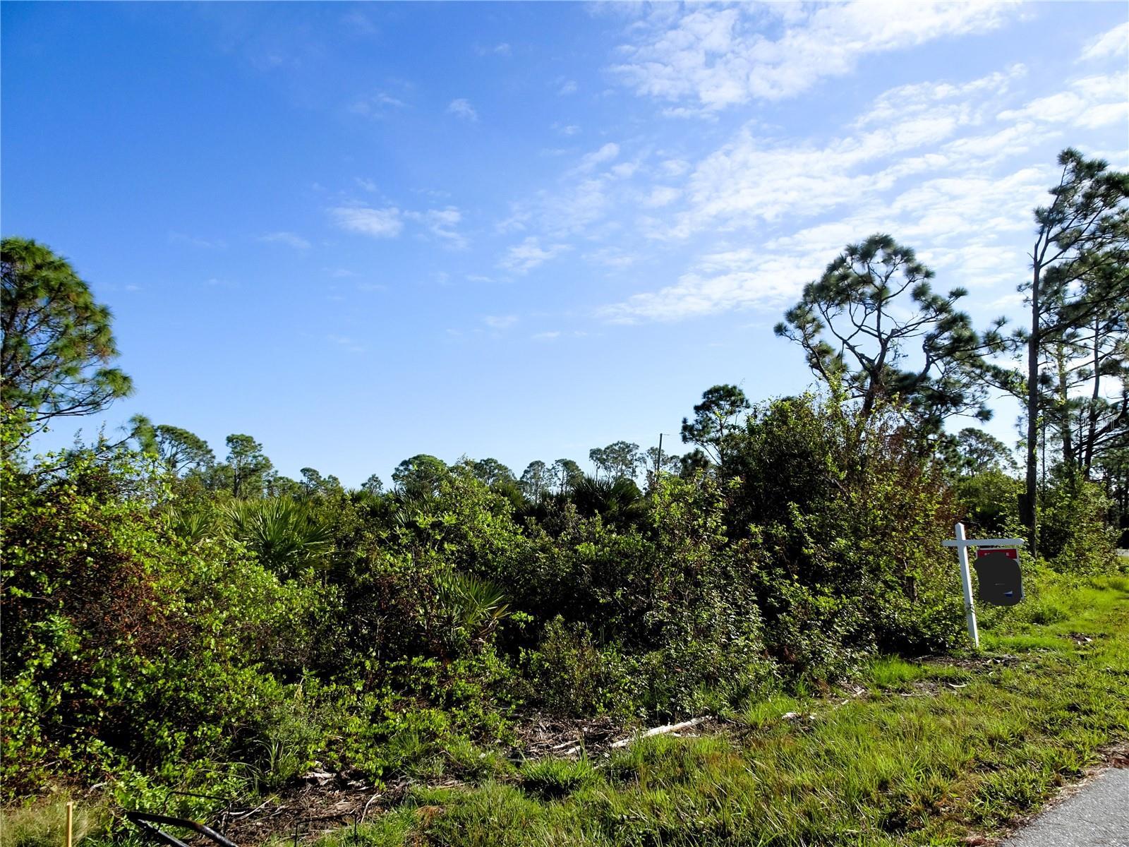 Image 1 Image 1