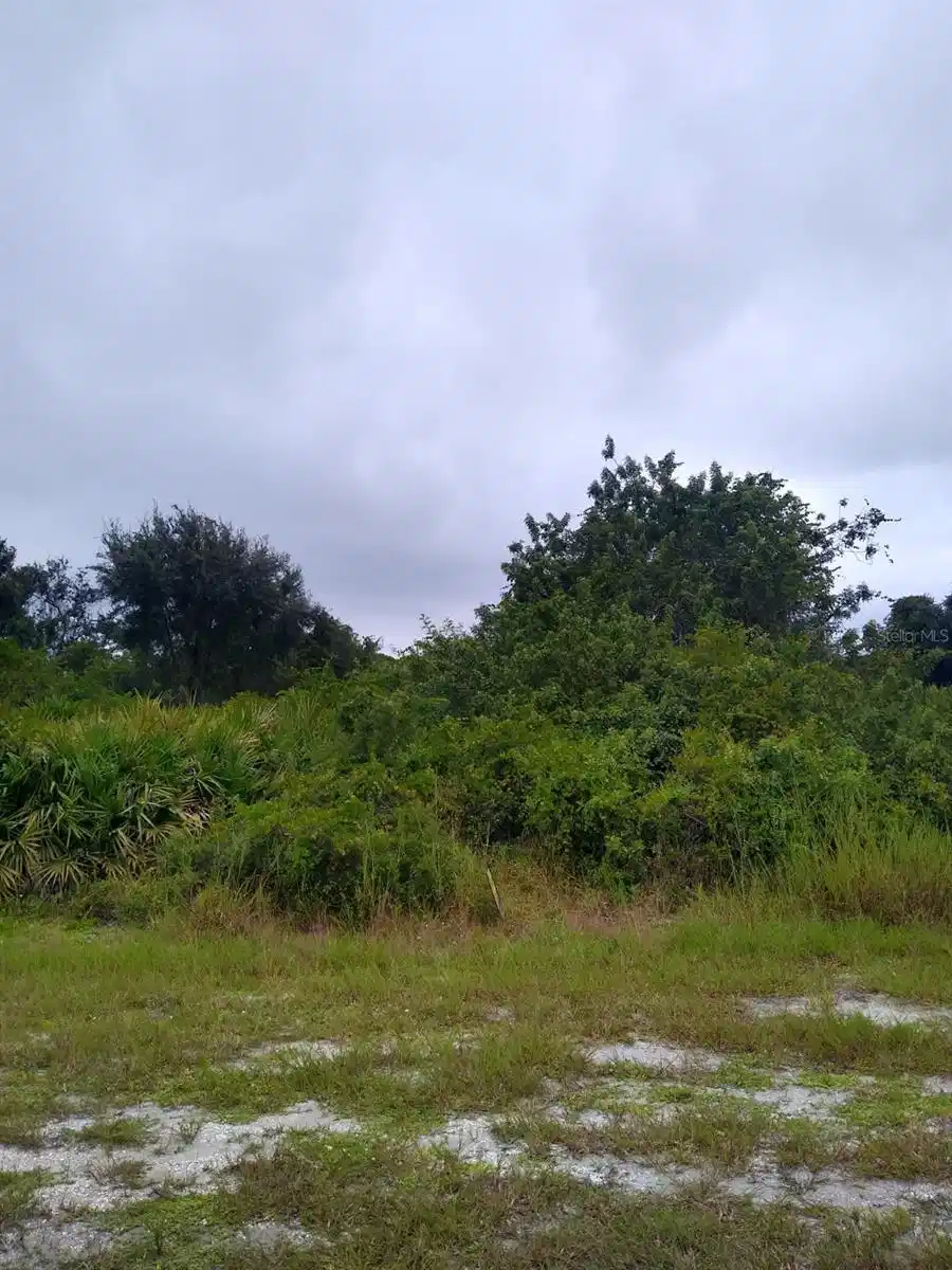 Image 1 Image 1