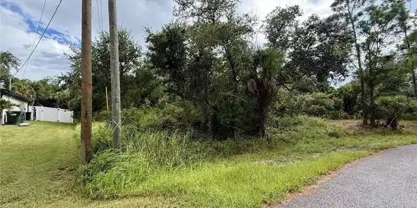 Image 4 Image 4