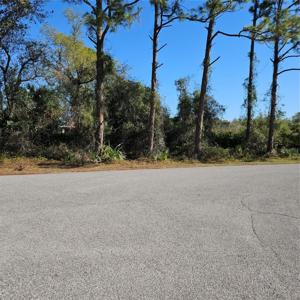 JANARO ROAD