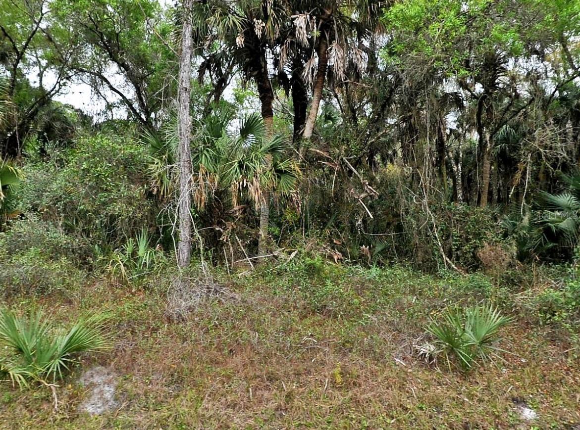 Image 1 Image 1
