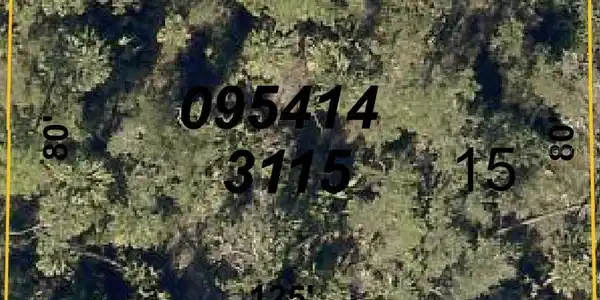 Image 2 Image 2
