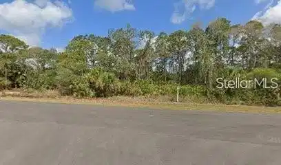 Image 1 Image 1