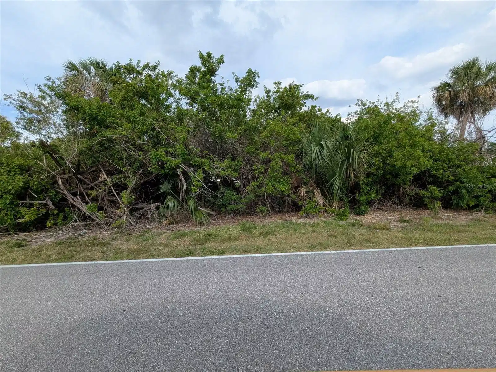 Image 1 Image 1