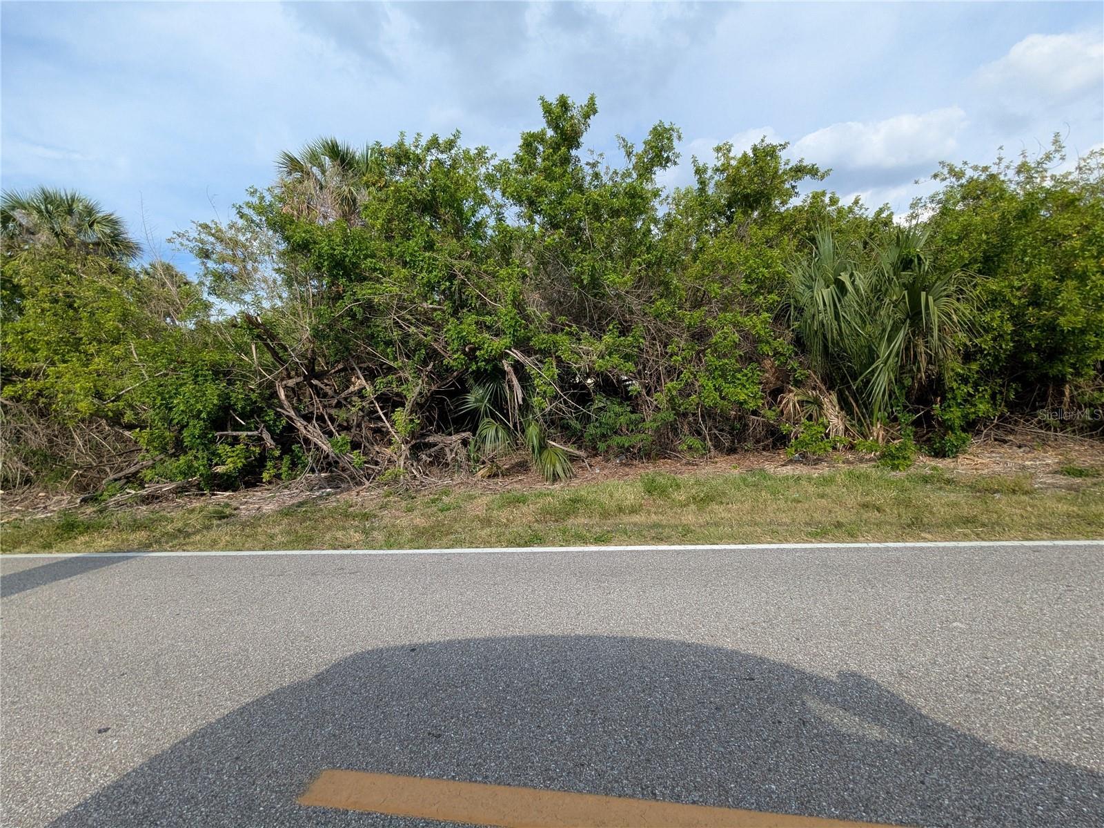 Image 3 Image 3