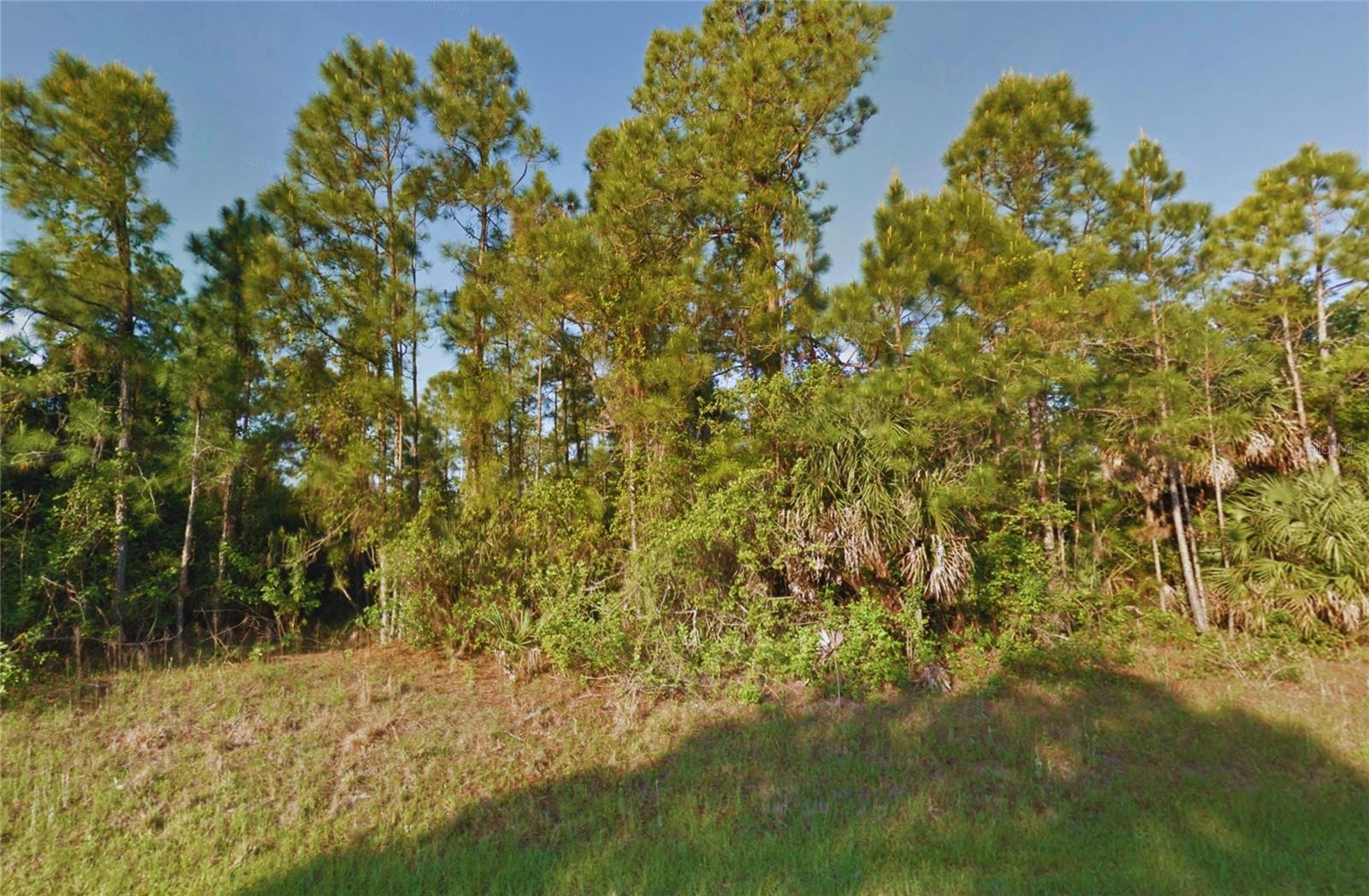 Image 1 Image 1