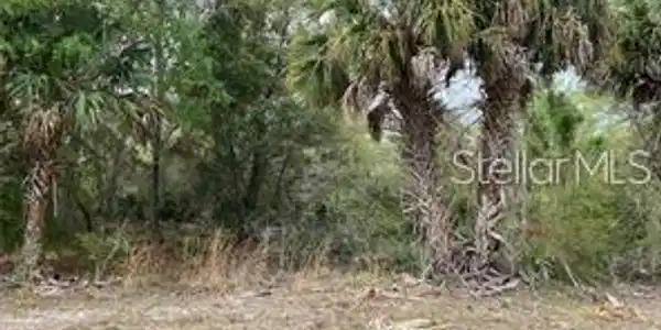 Image 4 Image 4