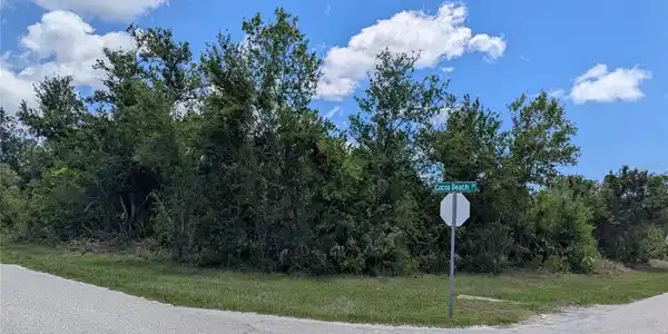 10017 COCOA BEACH STREET