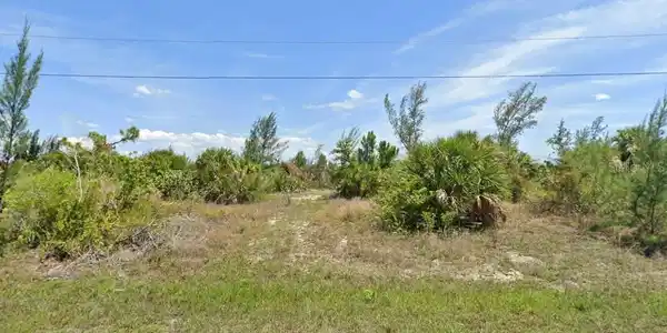Image 4 Image 4