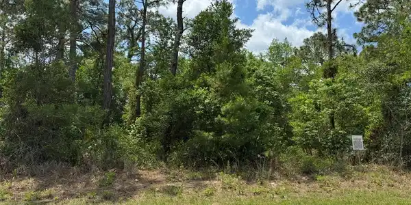 Lot 77 WATERBIRD WAY