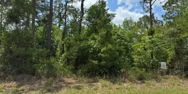 Lot 79 WATERBIRD WAY