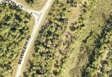 LOT 12 BLOCK 2276 SILVERLEAF ROAD