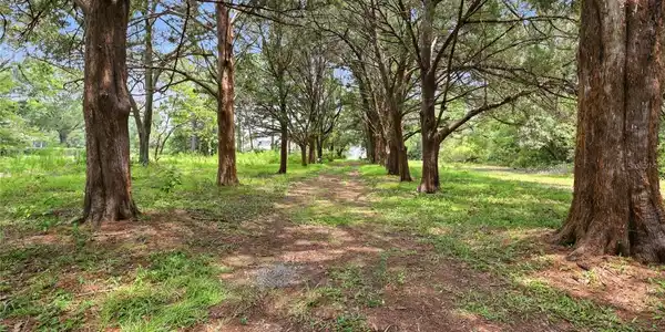 Image 3 Image 3