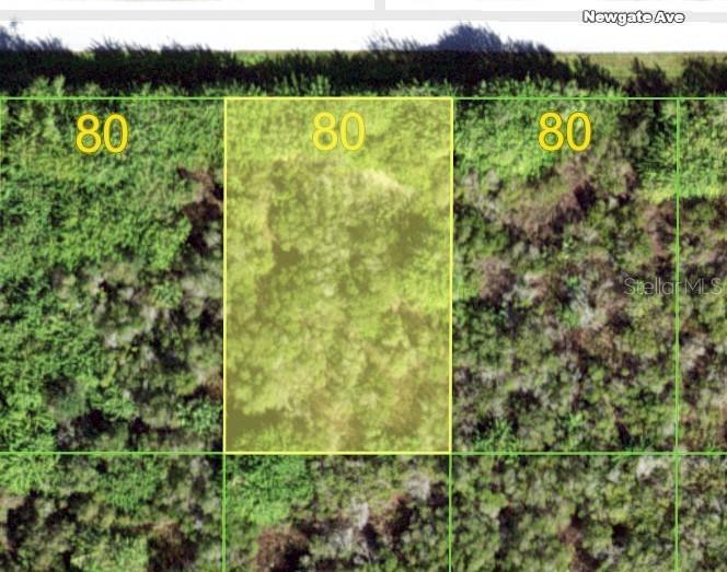 Image 3 Image 3