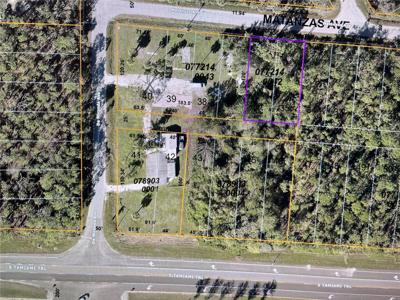 11150 MATANZAS LOTS 35 & 36 AVENUE
