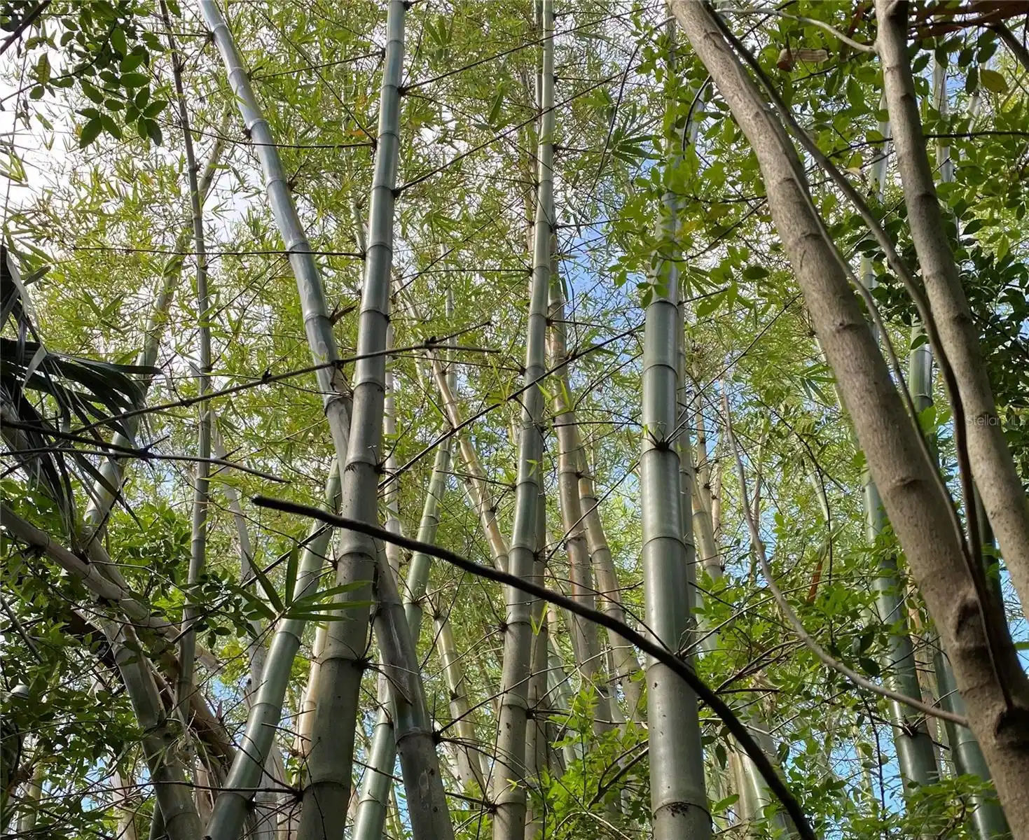 Image 1 Image 1