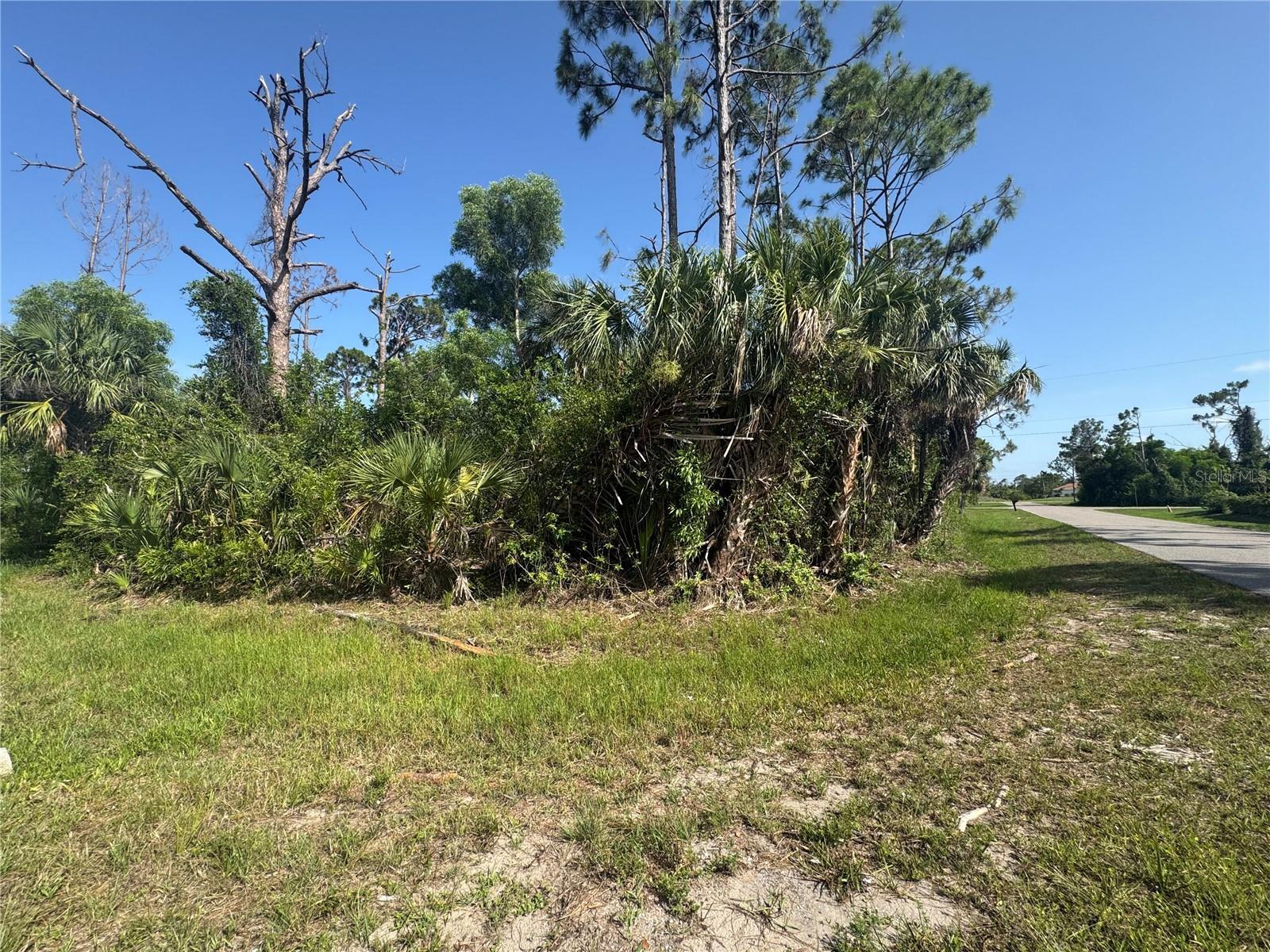 Image 3 Image 3