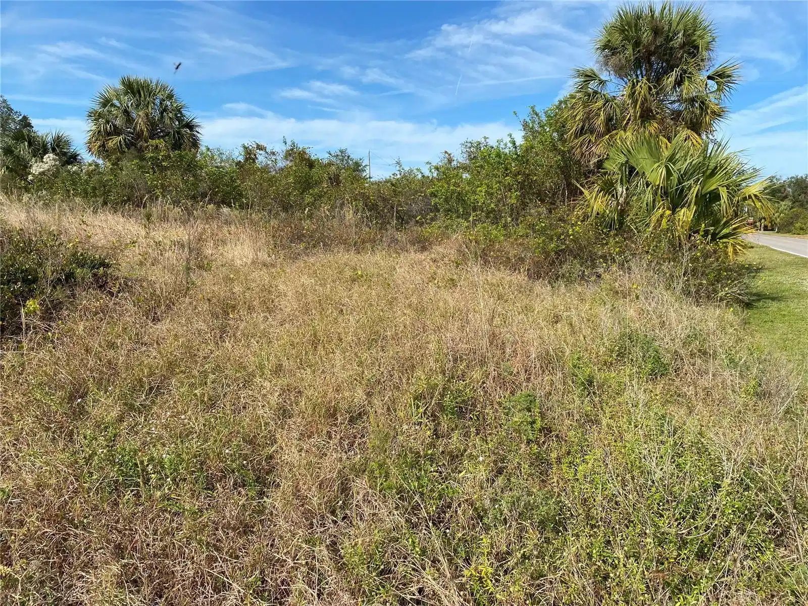 Image 1 Image 1