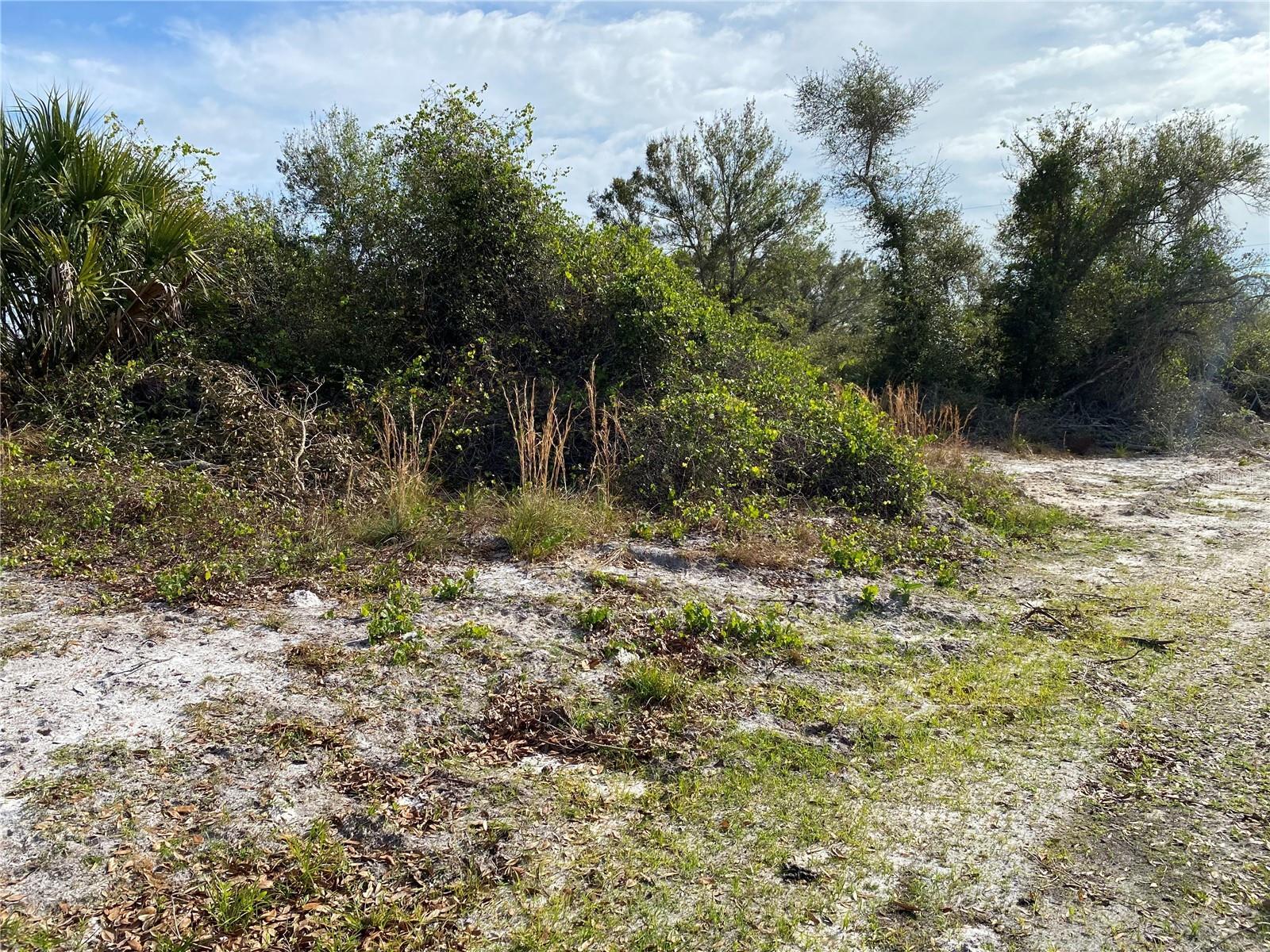 Image 3 Image 3
