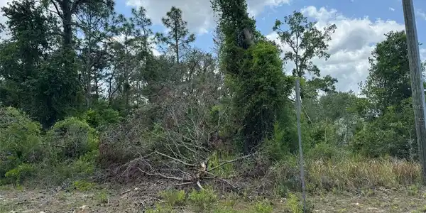 Lot 3 LONG LAKE AVENUE